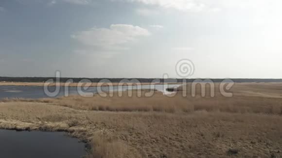 波罗的海附近的利普佩河和拉脱维亚尤尔马拉的黄草视频的预览图