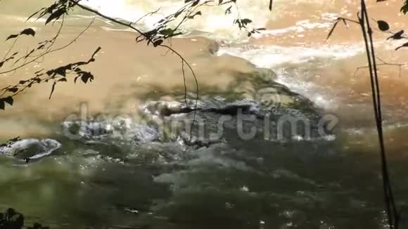 佐治亚州大溪从大溪上的大型急流和瀑布中放大视频的预览图