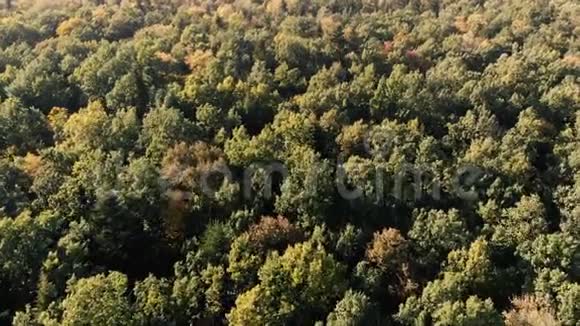 喀尔巴阡山美丽的绿色森林的空中拍摄视频的预览图