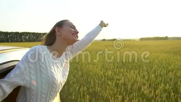 快乐年轻的旅行微笑美丽的年轻女子在夏天的自然麦田享受公路旅行女孩抱着胳膊放视频的预览图
