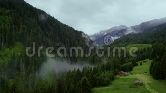 云山顶森林的空中拍摄视频的预览图