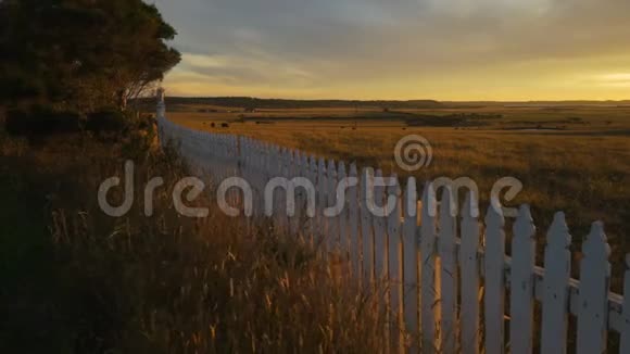 澳大利亚乡村的落日田野庄稼和篱笆视频的预览图