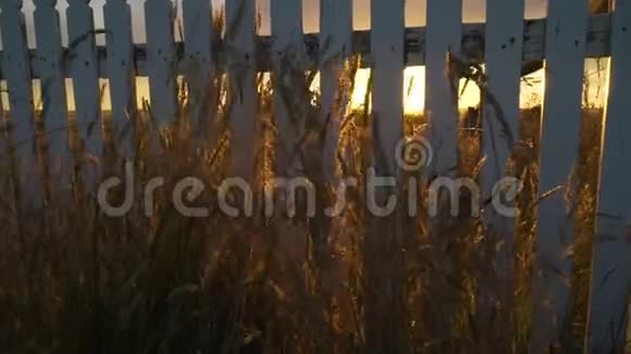 夏天澳大利亚草原上令人难以置信的橙色灿烂的日落基座向上拍摄视频的预览图