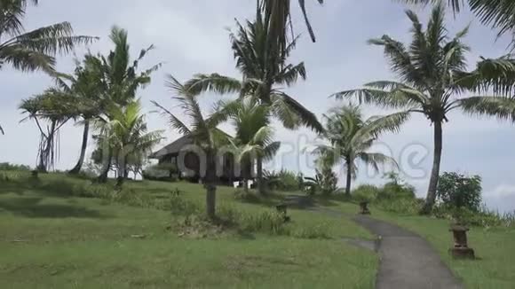 在阳光明媚的日子里摄像机沿着一条穿过棕榈树林的小路移动到位于热带海洋海岸的房子视频的预览图