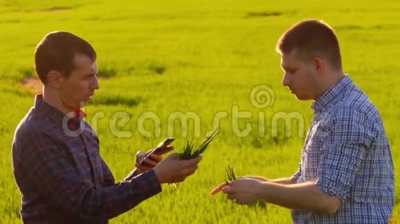 两个美国农民在田间交流两个商人农民紧紧握手他们是视频的预览图
