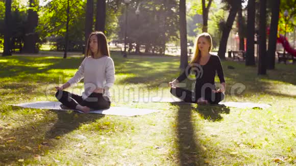 瑜伽两个迷人的女人在公园里冥想视频的预览图