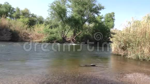 亚利桑那盐河一幅盐河的风景围绕着灌木丛和树木流动视频的预览图