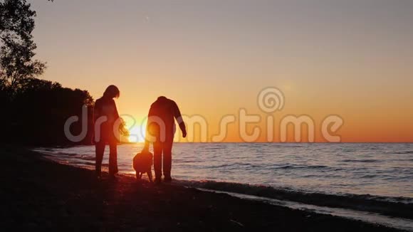 日落时分一对夫妇和他们心爱的狗在海滩上散步慢动作视频视频的预览图