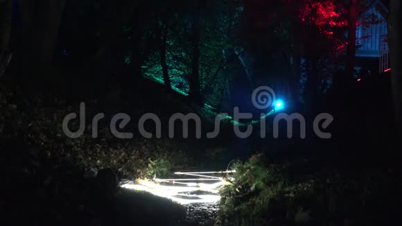 平静的溪流在彩色灯光的效果下照亮了公园的傍晚4K视频的预览图