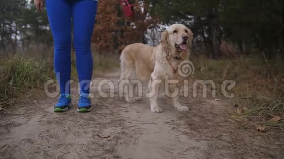 大自然晨跑时带着狗的跑步女视频的预览图