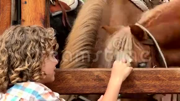 喂农场马的男孩视频的预览图