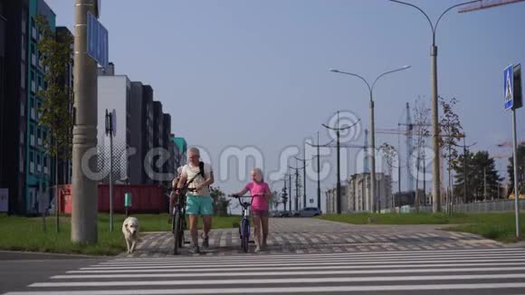 在现代城市与宠物生活一个有自行车的家庭和一只大狗过马路视频的预览图