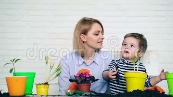 儿子和母亲在花盆里种花这是一个共同的事业视频的预览图