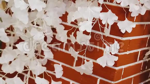 砖墙背景上美丽的白色花朵视频的预览图