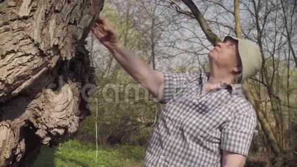 老妇人抚摸着一棵大树视频的预览图