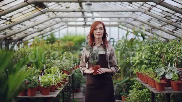 一幅美丽的年轻女农民穿着围裙站在温室里抱着盆栽微笑着果园视频的预览图