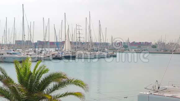 巴伦西亚港帆船和游艇的所在地上午在港口旅游地靠近帆船行走视频的预览图