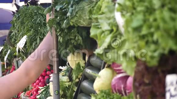 夏天城市市场上到处是绿色植物和蔬菜一个面目模糊的人拿着一个袋子视频的预览图