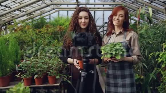 穿着围裙的快乐的女性园丁们一边聊天一边拿着鲜花一边录制关于绿色的在线博客视频视频的预览图