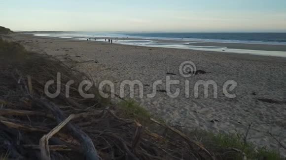 在澳大利亚的英弗洛赫冲浪海滩多莉在拍摄视频的预览图
