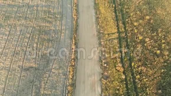 日落时犁田的空中自上而下的视野视频的预览图