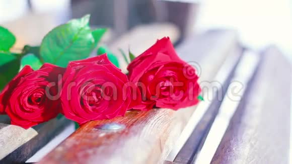 红玫瑰在长凳上视频的预览图