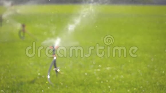 慢动作花园灌溉喷头浇水草坪离焦视图视频的预览图
