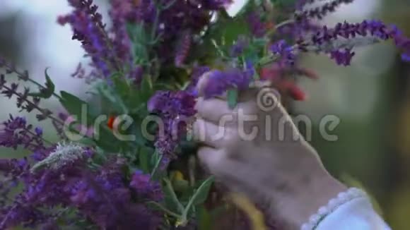慢动作特写年轻女孩双手插着一朵花从田野的矢车菊的田里织成花环视频的预览图