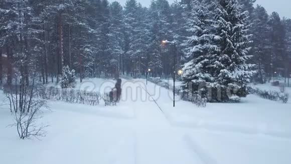 路灯照明道路至冬季公园积雪覆盖剪辑树木小径和小房子的美丽景色视频的预览图