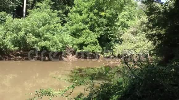 乔治亚州河滨公园放大大溪上游景观树影视频的预览图