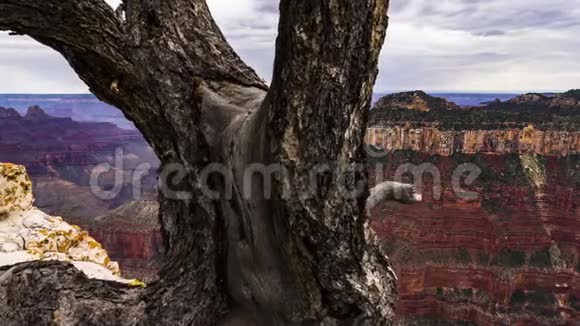 4K移动时间推移电影剪辑大峡谷国家公园亚利桑那美国北缘从皇家角视频的预览图
