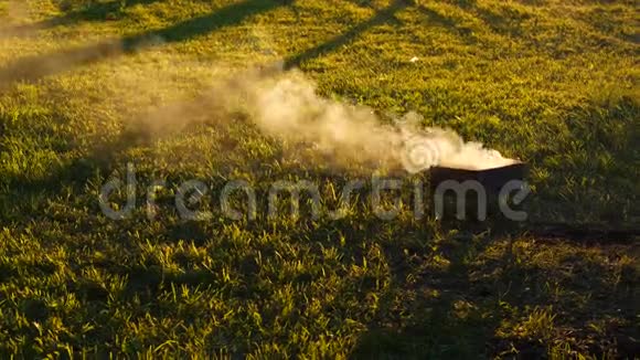 烟雾袅袅笼罩着阳光明媚的绿野视频的预览图