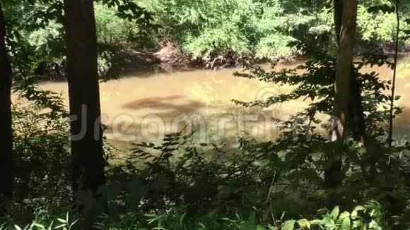佐治亚州河滨公园一个横跨大溪的平底锅透过树木和灌木丛看到视频的预览图