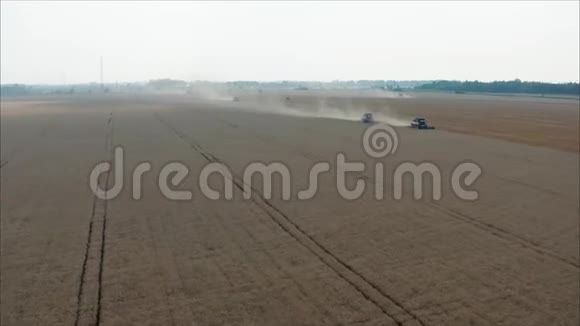 收割者在田里工作夏季收割小麦两台红色收割机在田间工作联合收割机视频的预览图