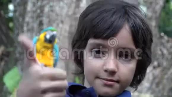 普雷特恩男孩与鹦鹉视频的预览图