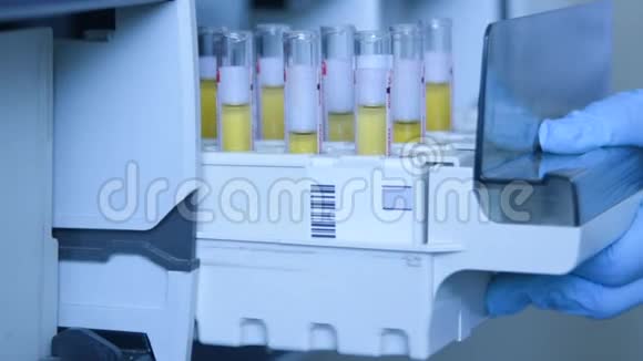 实验室的科学家把装有血液或尿液的试管放在热分析仪的容器里视频的预览图