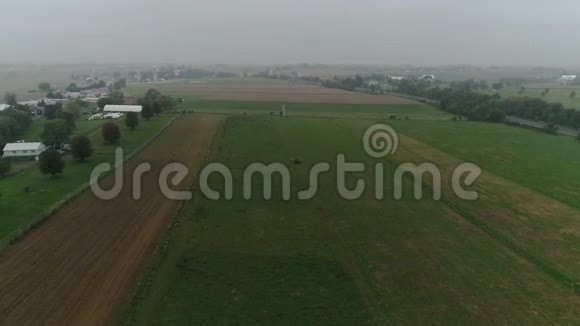 雾中阿米什农场土地和阿米什农民收获的鸟瞰图视频的预览图