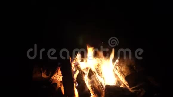 海边夜晚的篝火声视频的预览图