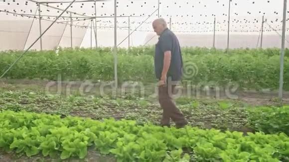 一个老农夫在温室里散步的照片视频的预览图
