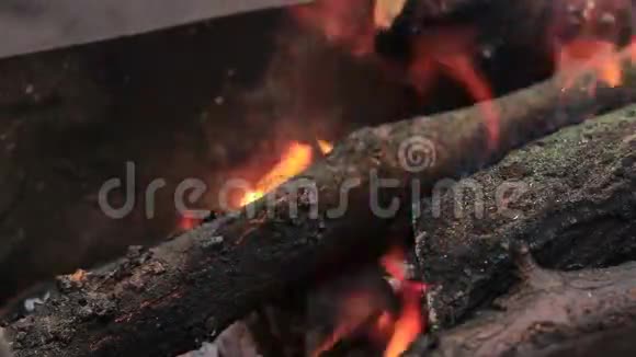在火里有烧焦的木头视频的预览图