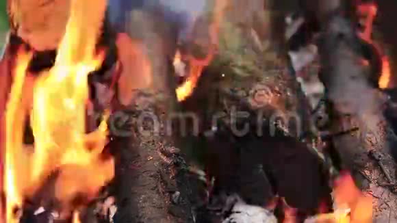 在火里有烧焦的木头视频的预览图