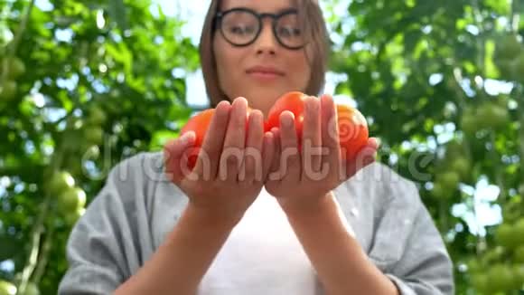 年轻的女人带着手套手里拿着红色的西红柿在温室里工作视频的预览图