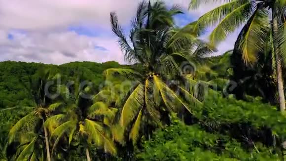 低空飞越茂密的热带丛林山脉菲律宾苏里高视频的预览图
