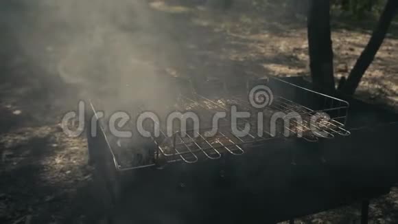 令人难以置信的美味在森林里烤肉缓慢地冒烟视频的预览图