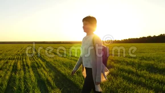 一个女孩在夕阳背景下沿着绿色草坪缓慢地走着视频的预览图