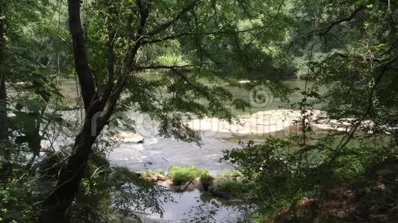 佐治亚州塞特尔斯桥公园通过茂密的树木俯瞰查塔霍切河的广阔景色视频的预览图