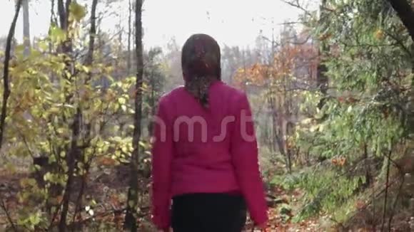 一个年轻女孩穿过森林收集蘑菇视频的预览图