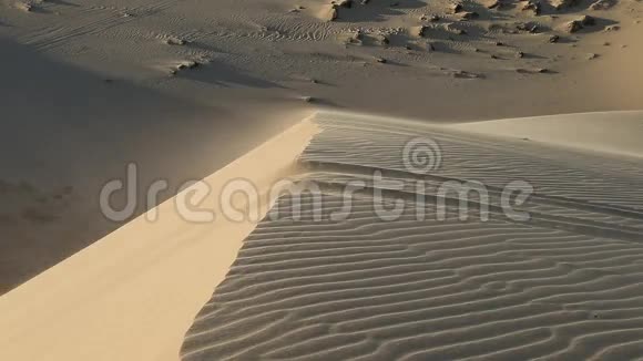 白沙接近撒哈拉沙漠视频的预览图