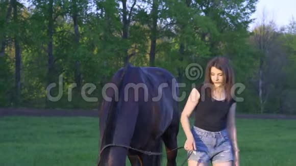 一个年轻的女人一个黑发的牛仔和一匹棕色的种马在夏日的早晨散步视频的预览图