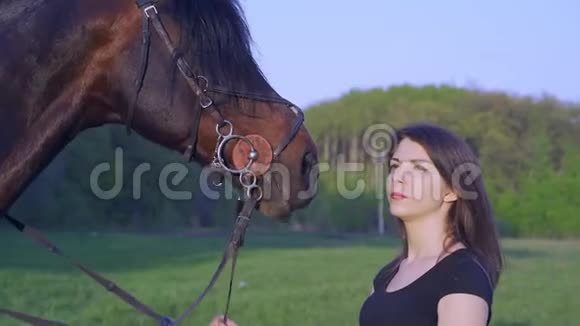 一个年轻的女人一个黑发的牛仔和一匹棕色的种马在夏日的早晨散步视频的预览图
